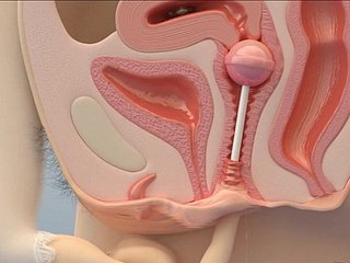 Cornea teenager Masturbating - Choke-full 3D Hentai